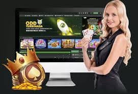 binkoko ပလက်ဖောင်း Myanmar Wave Money KBZPay AYA Pay MMK ငွေပေးချေနည်း